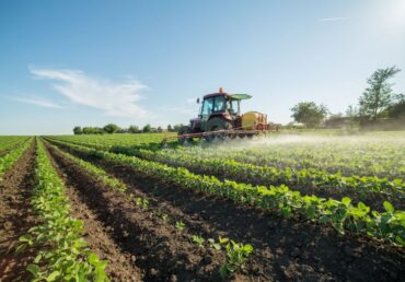 Department of Agriculture, asks farmers to ‘consider their artificial fertiliser use’