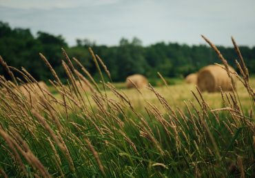 PACTE VERT ET FARM TO FORK: La stratégie de l’UE, une trajectoire « réaliste » pour l’agriculture (Iddri).