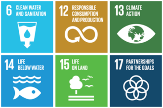 Global Goals - 6 icons