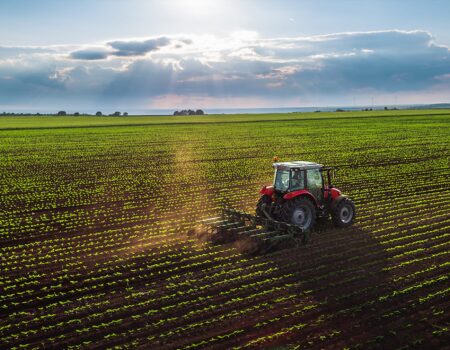 agricultural-workers.jpg